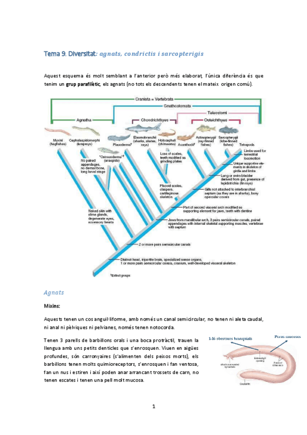 Miniatura del documento Tema 9-ictio.pdf