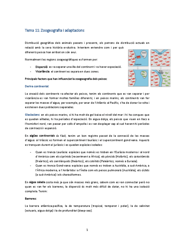 Miniatura del documento Tema 11.pdf