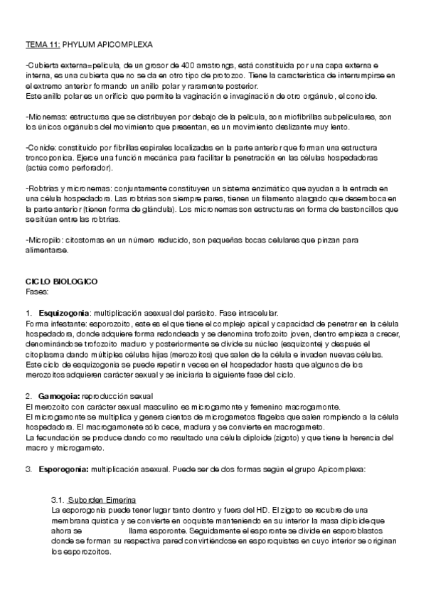 Miniatura del documento t11.pdf