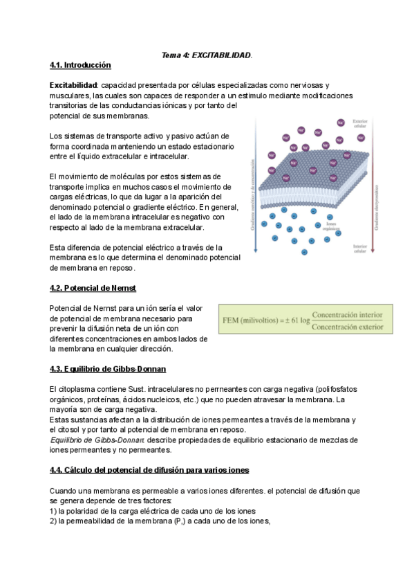 Miniatura del documento Fisio-I-TEMAS-456.pdf