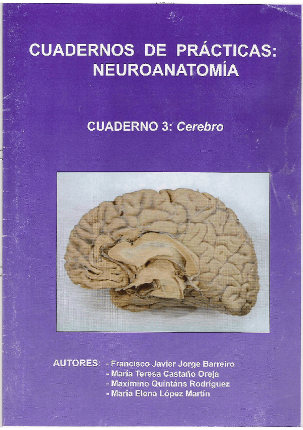 Miniatura del documento Cuaderno-3.-Cerebro.pdf