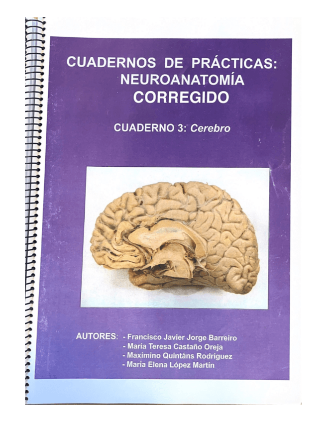 Miniatura del documento Cuaderno-de-practicas-Neuroanatomia-CORREGIDO-Cerebro.pdf