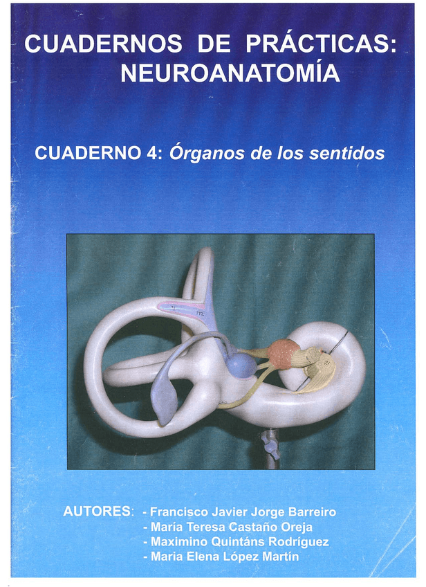 Miniatura del documento OJO-Y-OIDO-PRACTICAS-CUADERNO.pdf