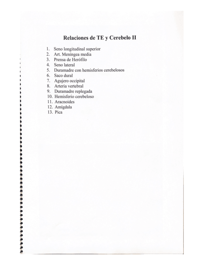 Miniatura del documento Relaciones-de-TE-y-Cerebelo-II.pdf