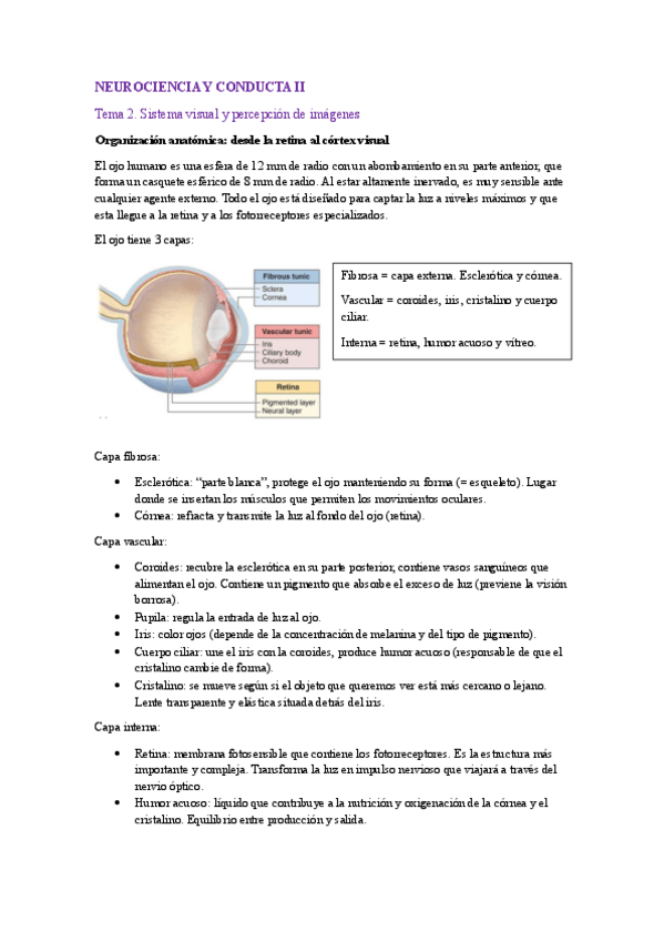 Miniatura del documento Neuro-II.-Tema-2.pdf