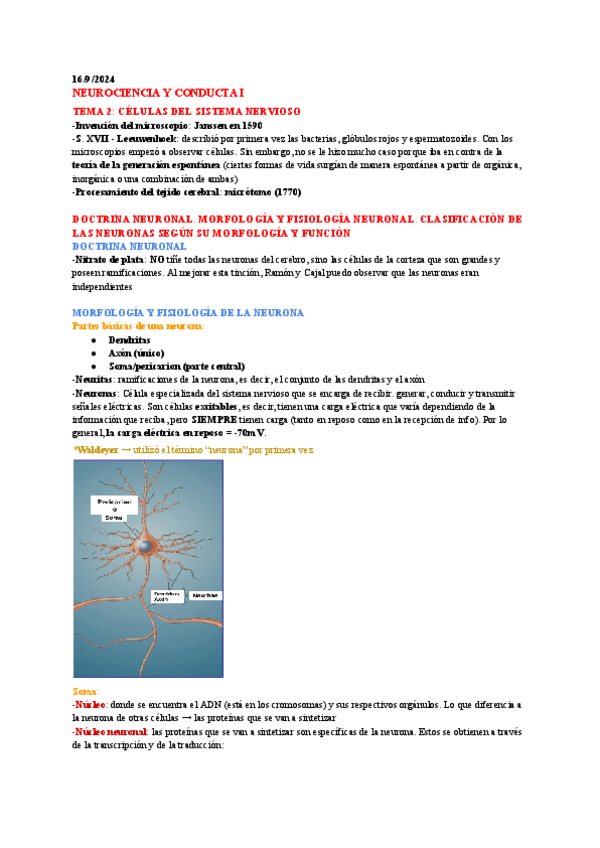 Miniatura del documento Neuro-Tema-2.pdf