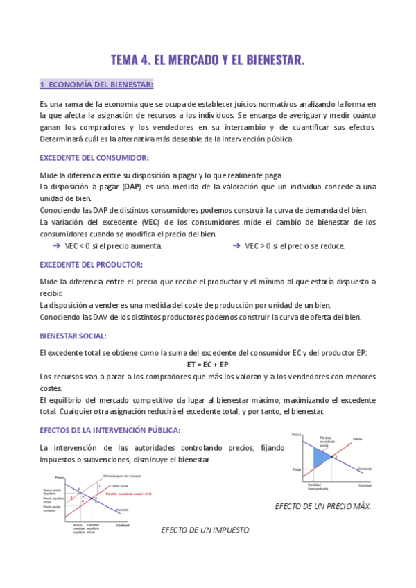 Miniatura del documento APUNTES-ECONOMIA-TEMA-4.pdf
