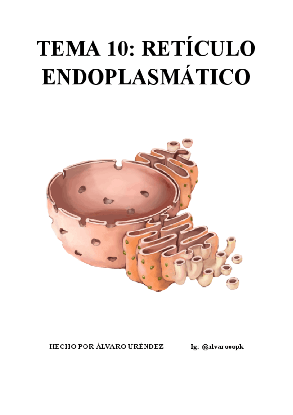Miniatura del documento BIOLOGIA-CELUALAR-TEMA-10-RETICULO-ENDOPLASMATICO.pdf
