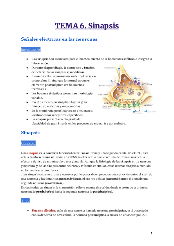 Miniatura del documento Apuntes-tema-6.pdf