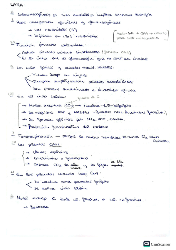 Miniatura del documento bioq-Lara-y-Alfonso.pdf