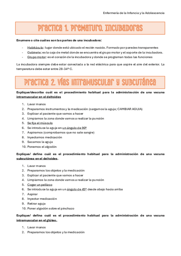 Miniatura del documento Practicas-infancia.pdf