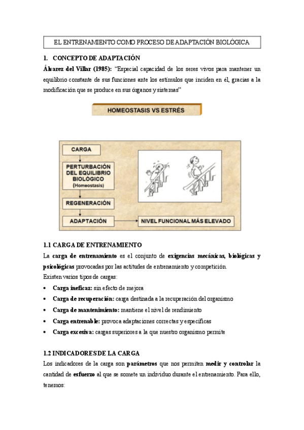Miniatura del documento El-entrenamiento-como-proceso-de-adaptacion-biologica.pdf