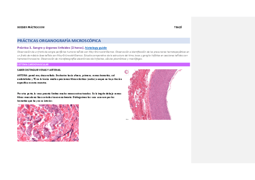 Miniatura del documento PRACTICA-1-OM.pdf