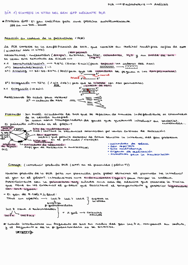 Miniatura del documento Practicas-biotecnologia-parte-bioquimica.pdf