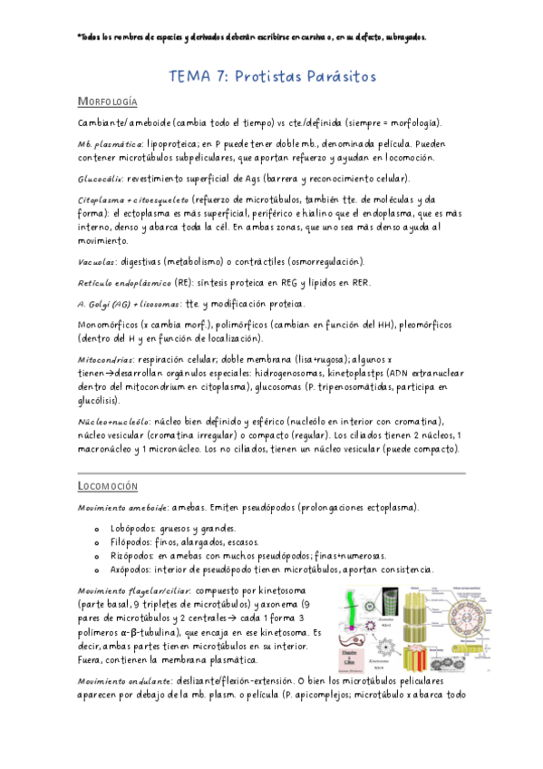 Miniatura del documento Parasitologia-tema-7.pdf