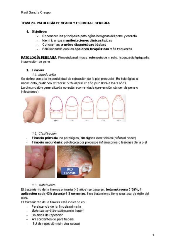 Miniatura del documento TEMA-23.pdf