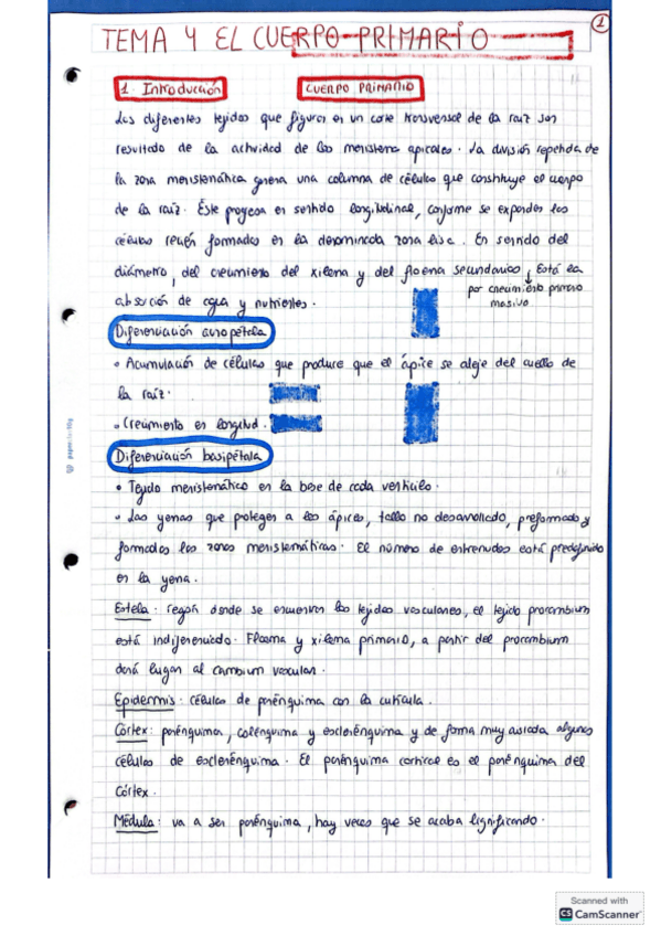 Miniatura del documento Anatomia.pdf