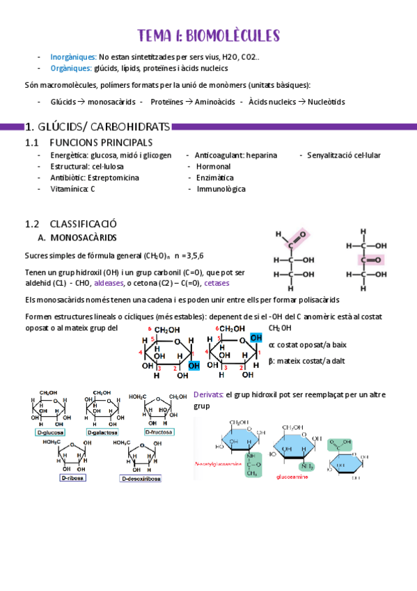 Miniatura del documento BLOC-I-T1-biomolecules.pdf