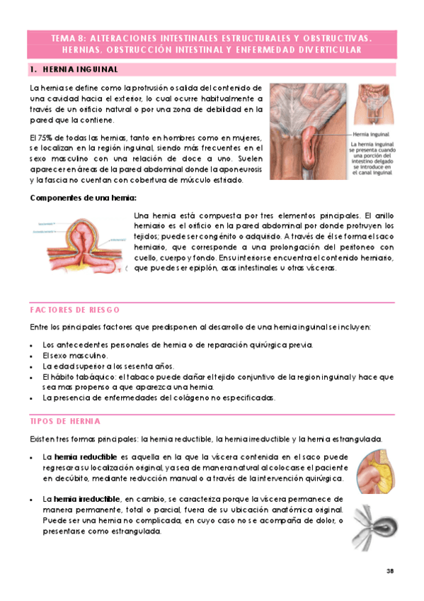 Miniatura del documento TEMA-8-ALTERACIONES-INTESTINALES-ESTRUCTURALES-Y-OBSTRUCTIVAS.-HERNIAS-OBSTRUCCION-INTESTINAL-Y-ENFERMEDAD-DIVERTICULAR.pdf