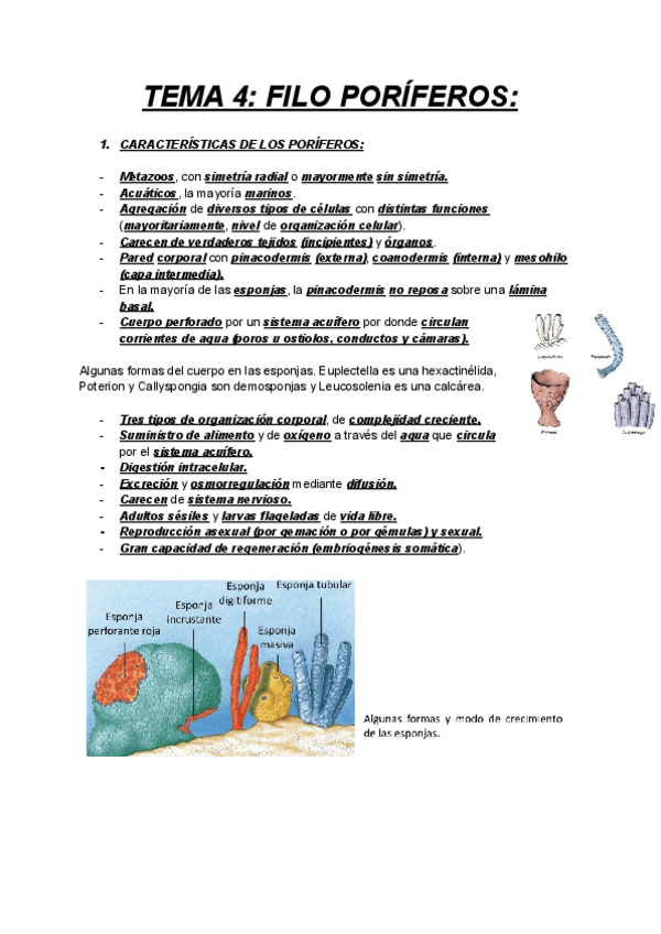 Miniatura del documento ZOOLOGIA-TEMA-4.pdf