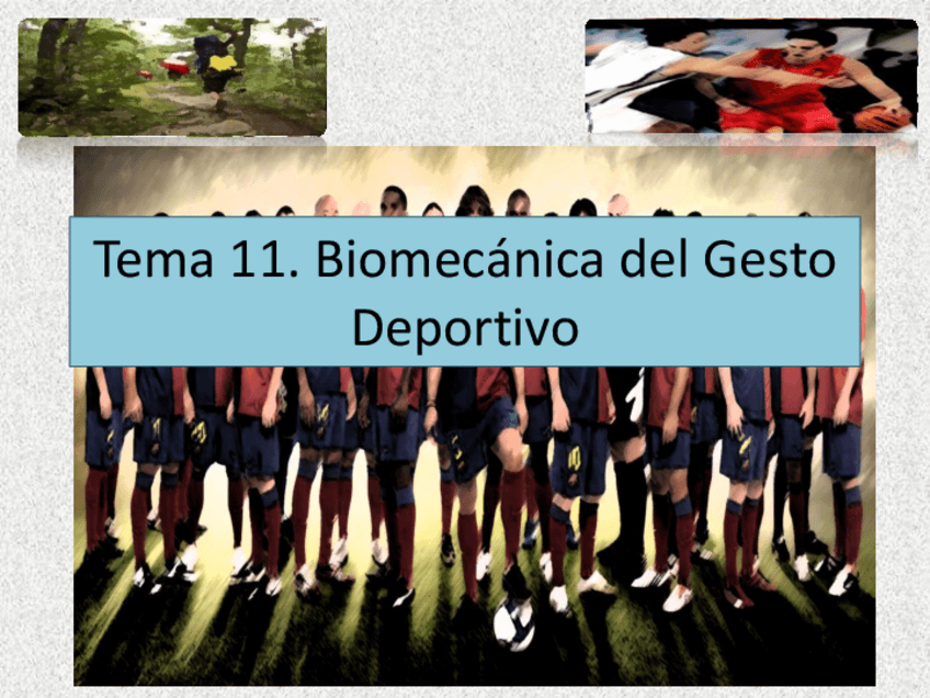 Miniatura del documento T12.pdf