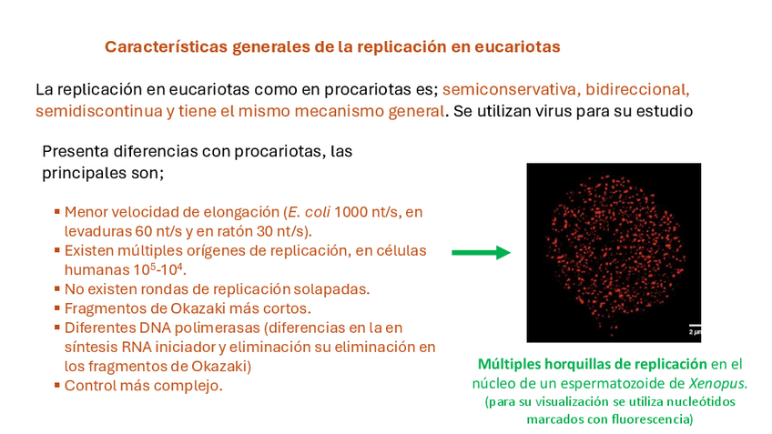 Miniatura del documento Tema3.pdf