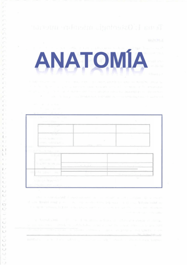 Miniatura del documento MMII.pdf