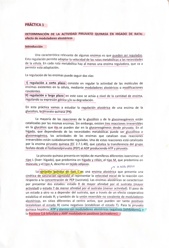 Miniatura del documento Practicas-de-laboratorio-bioquimica.pdf