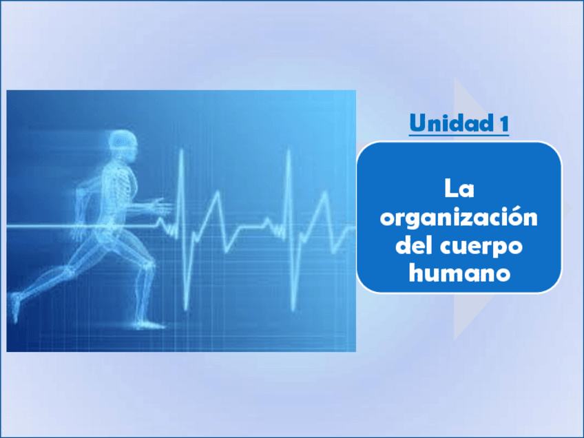 Miniatura del documento Unidad-1.-La-organizacion-del-cuerpo-humano.pdf