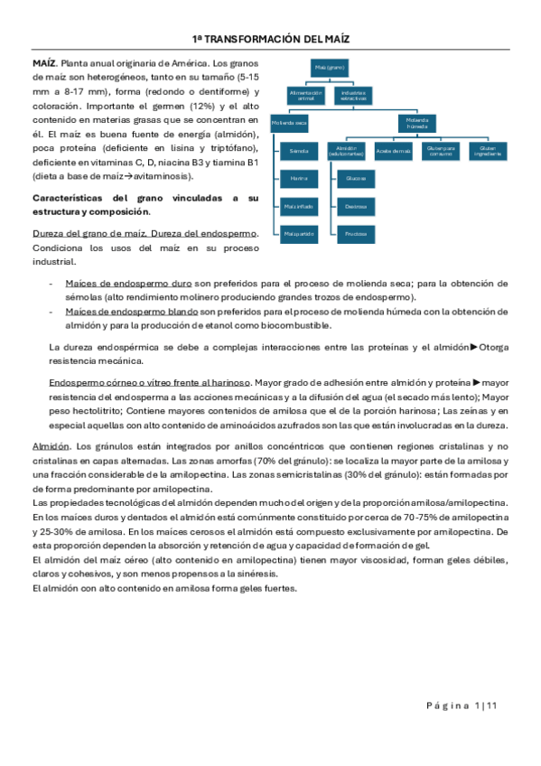 Miniatura del documento 1a-TRANSFORMACION-DEL-MAIZ.pdf