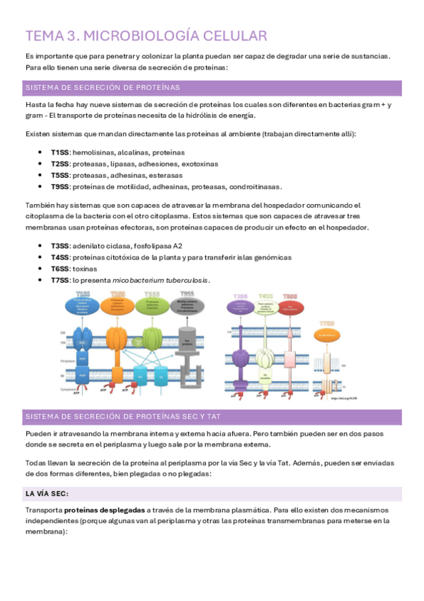 Miniatura del documento Tema-3.pdf