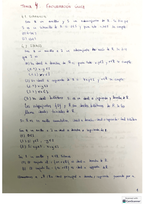 Miniatura del documento Tema-4-Factorizacion-unica.pdf