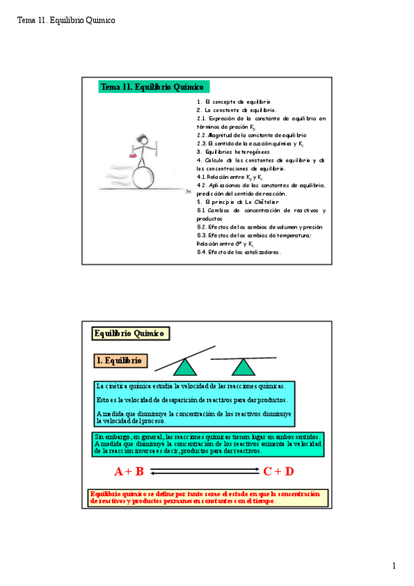 Miniatura del documento Tema-11.-Equilibrio-Quimico2cuatri.pdf