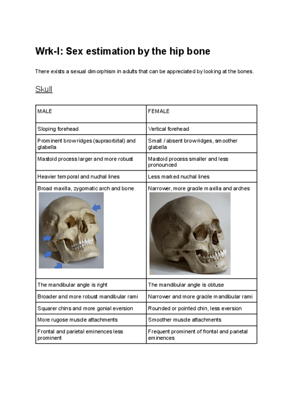 Miniatura del documento Workshops-I-II-III.pdf