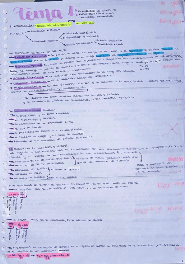 Miniatura del documento punto-1-tema-1-macro.pdf