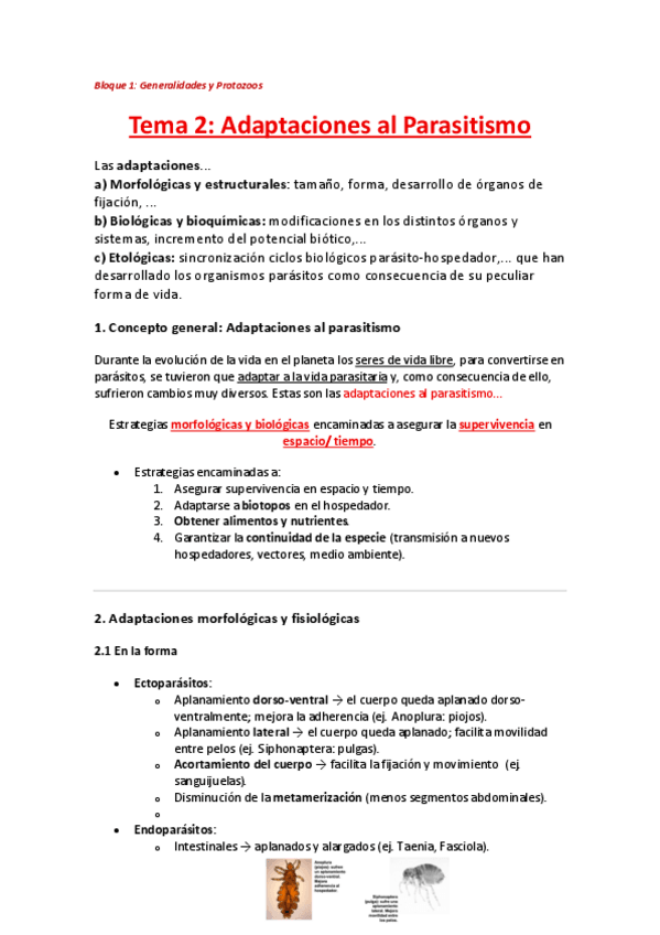 Miniatura del documento Tema-2-Adaptaciones-al-Parasitismo.pdf