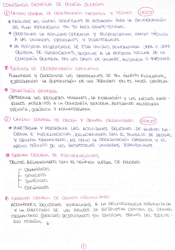 Miniatura del documento Policia-Judicial.pdf