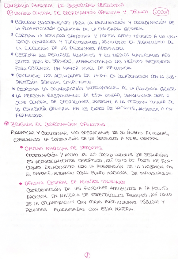 Miniatura del documento Seguridad-Ciudadana.pdf