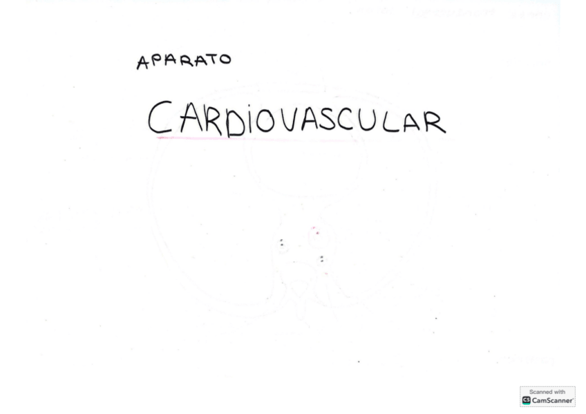 Miniatura del documento Laminas-Cardiovascular.pdf