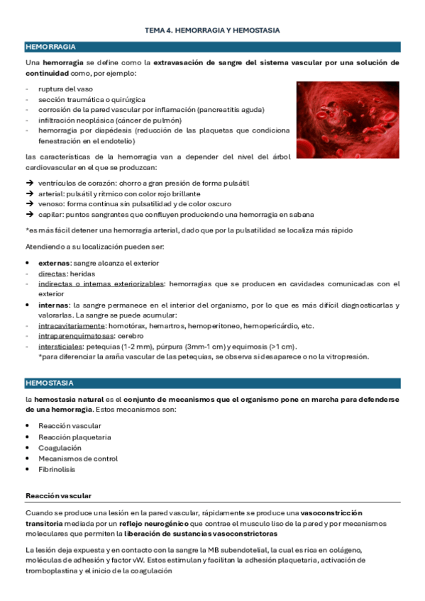 Miniatura del documento TEMA-4-hemorragia-y-hemostasia.pdf