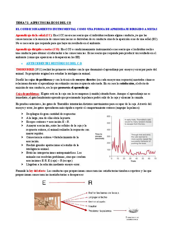Miniatura del documento APRENDIZAJE-Tema-7.pdf
