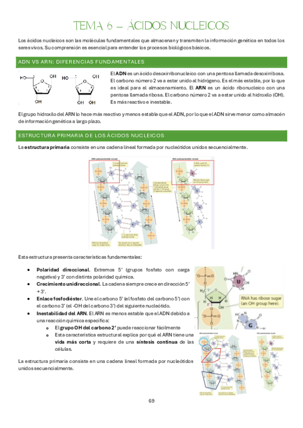 Miniatura del documento Tema-6-Bases-Organicas-e-Inorganicas-de-la-Vida.pdf