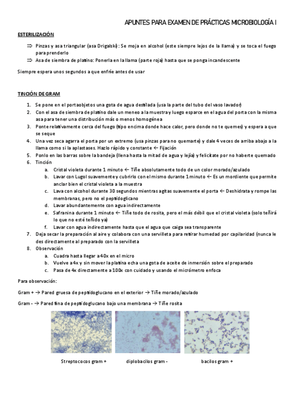 Miniatura del documento APUNTES-PARA-EXAMEN-DE-PRACTICAS-MICROBIOLOGIA-I.pdf