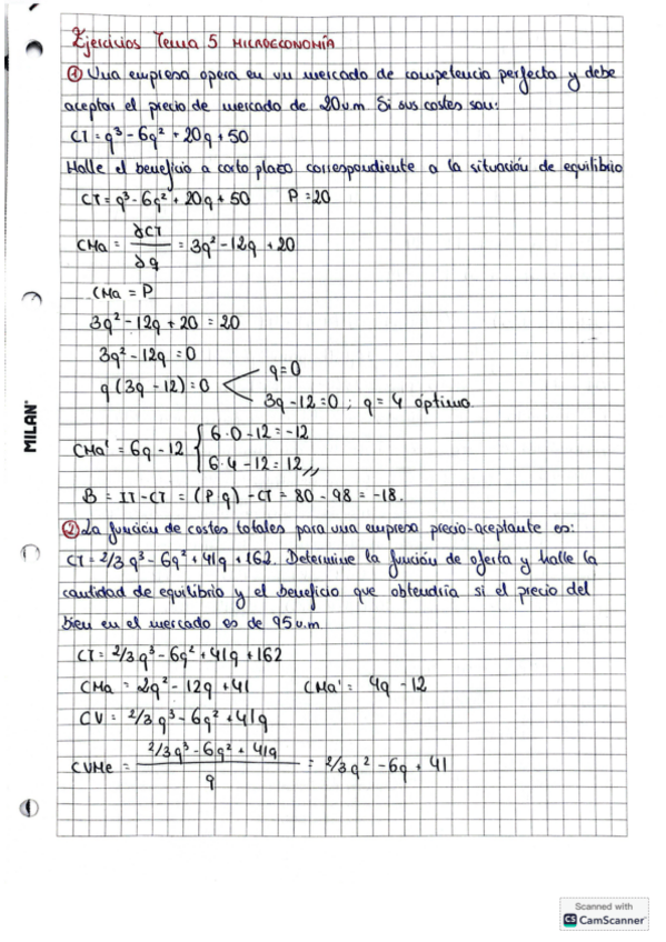 Miniatura del documento ejercicios-tema-5-micro.pdf