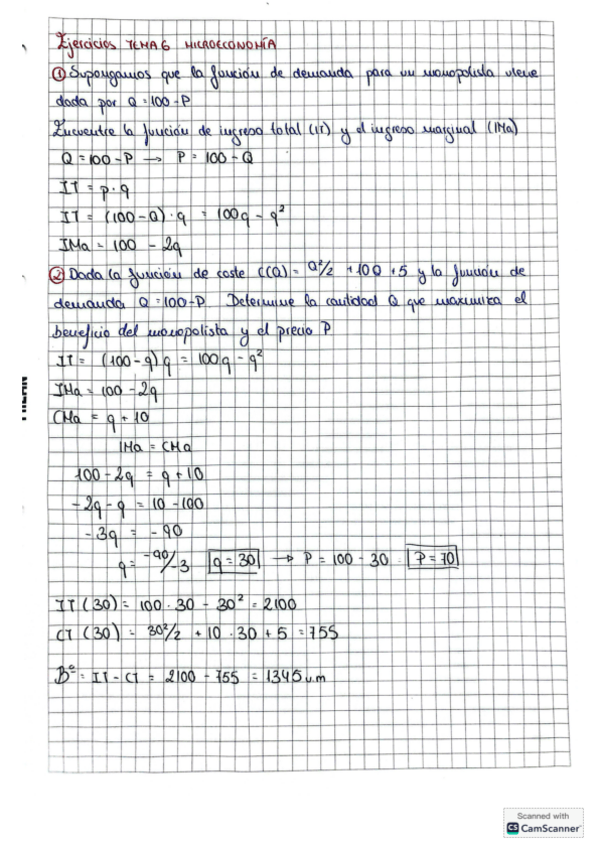 Miniatura del documento ejercicios-tema-6-micro.pdf
