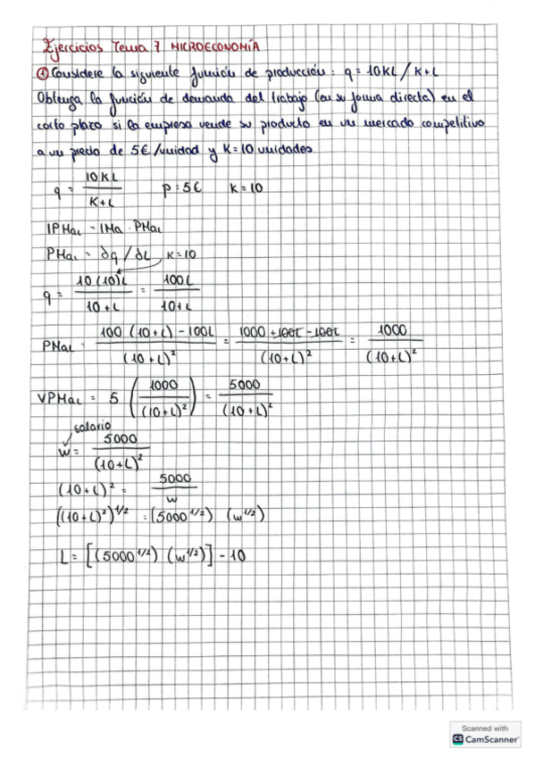 Miniatura del documento ejercicios-tema-7-micro.pdf