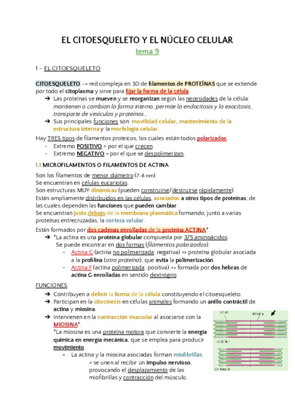Miniatura del documento tema-9-biologia.pdf