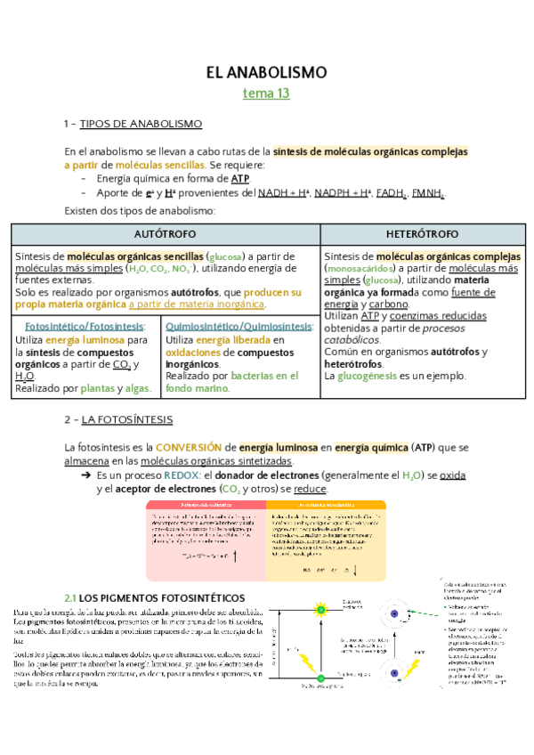 Miniatura del documento tema-13-biologia.pdf