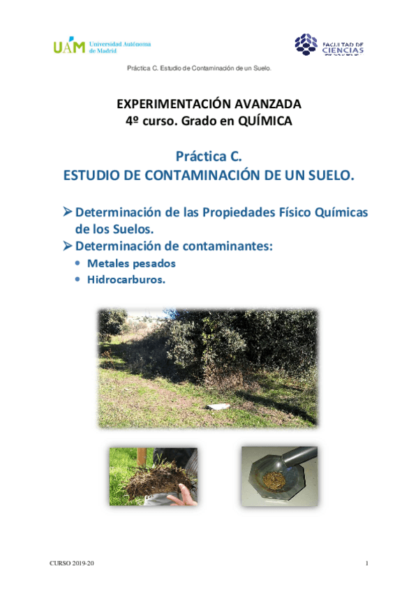 Miniatura del documento Guion-Practica-C.pdf