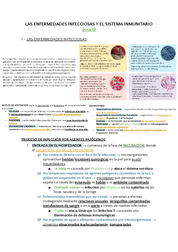 Miniatura del documento tema-18-biologia.pdf